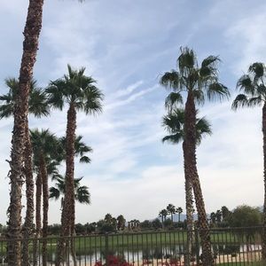 Meet your Posher, Aidan